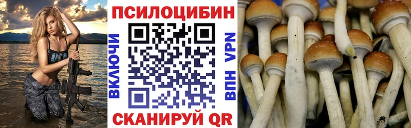 Галлюциногенные грибы ЛСД  как найти закладки  Торопец 